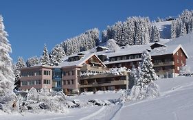 Hotel Alpina Adelboden